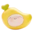 Canna_Amlls_Farm_popeab_pop_bean.jpg