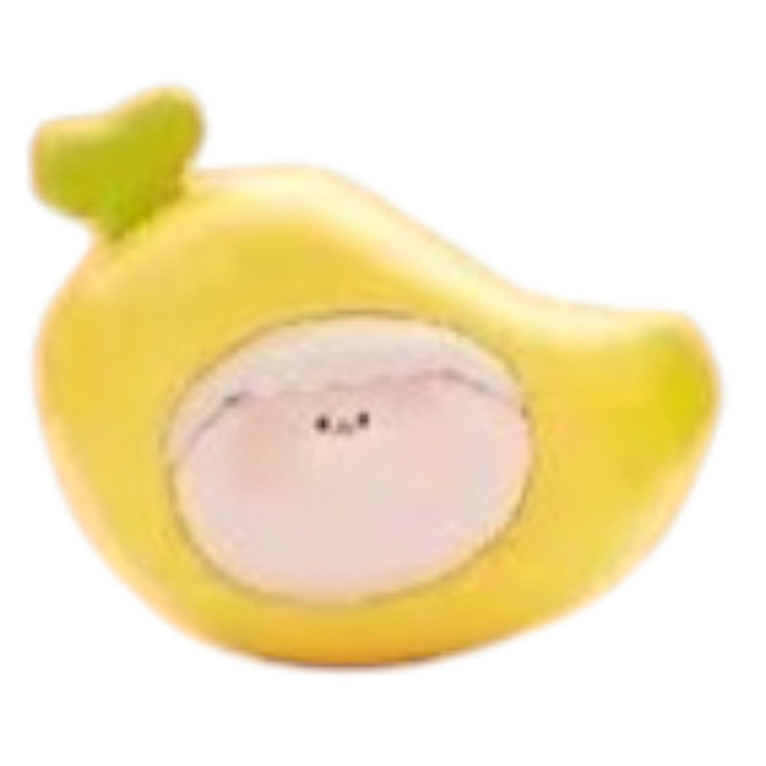 Canna_Amlls_Farm_popeab_pop_bean.jpg