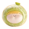 Cantaloupe_Green_Amlls_Farm_popeab_pop_bean.jpg