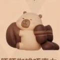 Coffee_Chocolate_Capybara_Chocolate_popbean_pop_bean_tuntunzai