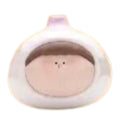Garlic_Amlls_Farm_popeab_pop_bean.jpg
