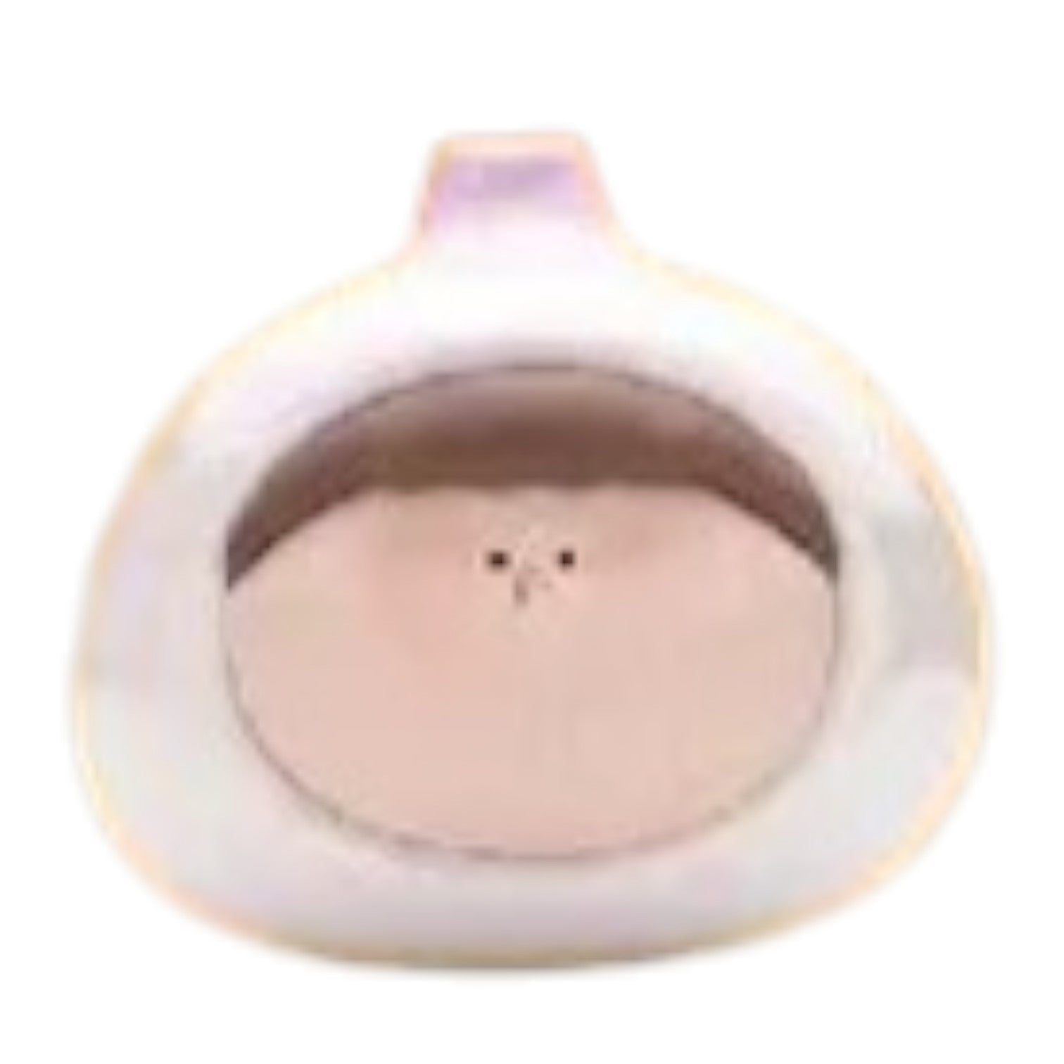 Garlic_Amlls_Farm_popeab_pop_bean.jpg
