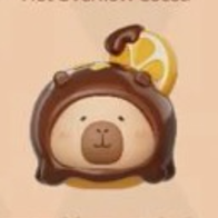 Grapefruit_Chocolate_Capybara_Chocolate_popbean_pop_bean_tuntunzai