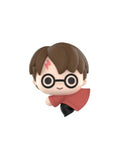 Harry_Potter_Harry_Potter_Flight_2023_popbean_pop_bean_popmart