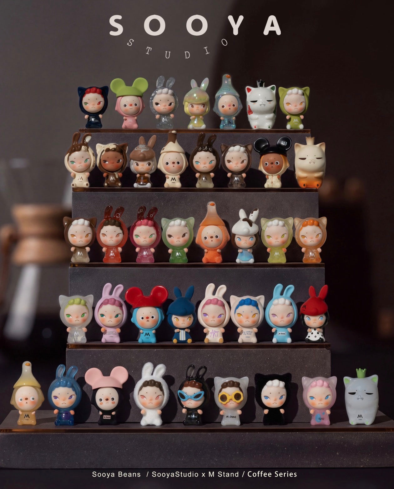 Pop Bean Family