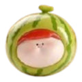 Watermelon_Amlls_Farm_popeab_pop_bean.jpg